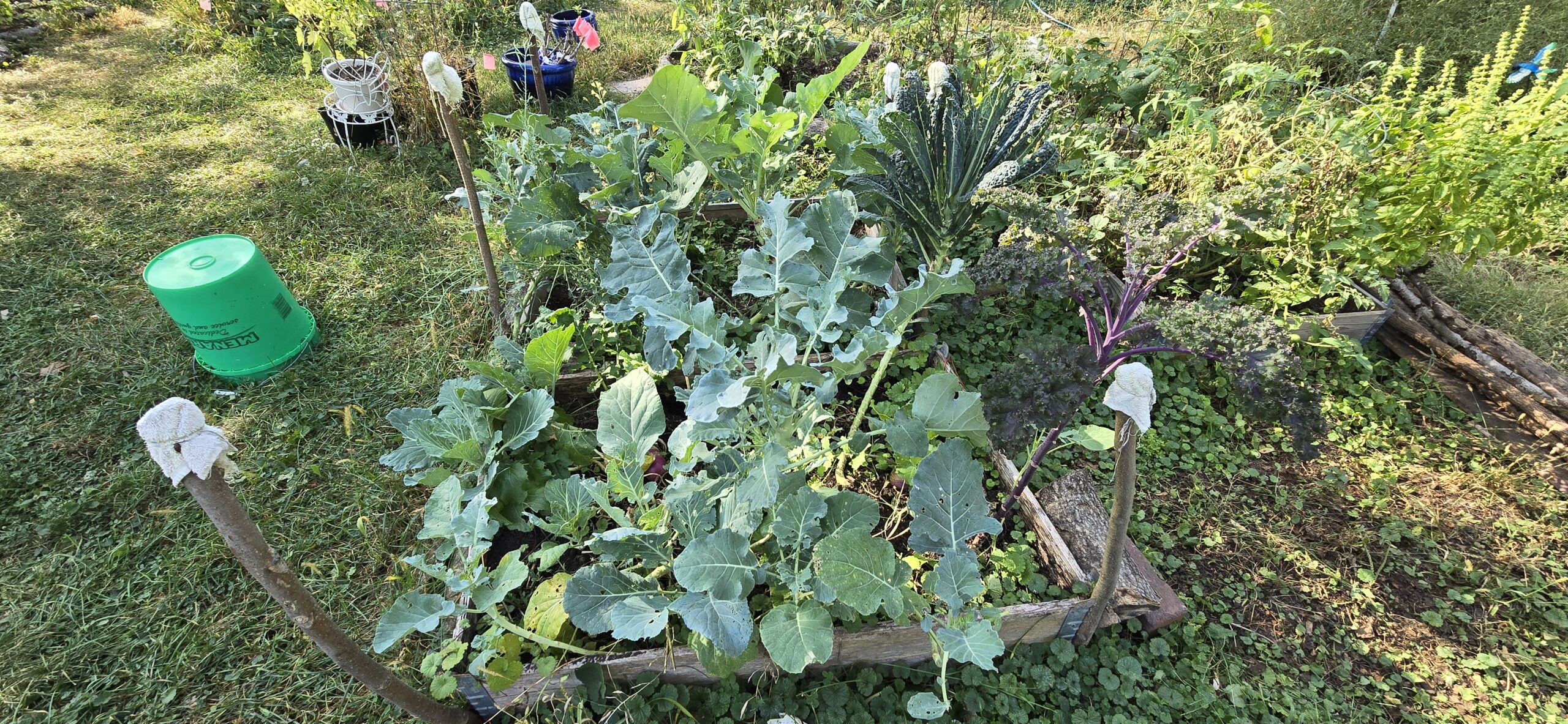 Hello Gardeners and Neighbors!